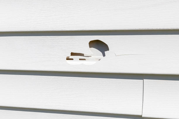 Reliable Saginaw, MI Siding Installation & Repair Solutions