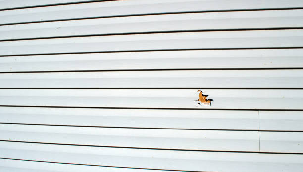 Best Insulated Siding Installation  in Saginaw, MI