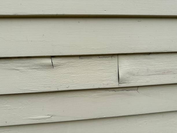 Best Aluminum Siding Installation  in Saginaw, MI